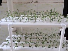Hydroponic 108 Plant Organic