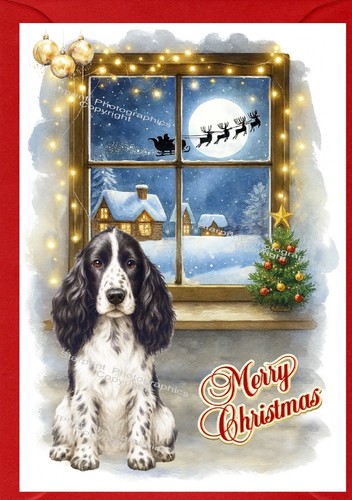 Cocker spaniel dog - spaniel,