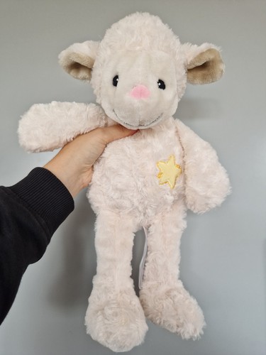 Little miracles costco lamb - little,