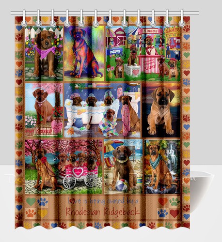 Halloween rhodesian ridgeback - halloween,