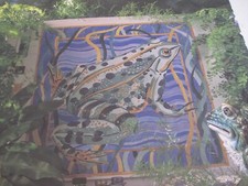 Ehrman frog reeds - in, angela