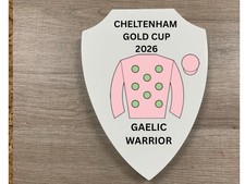 Cheltenham gold cup - cheltenham,
