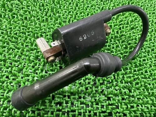 Suzuki goose 350 ignition coil - suzuki,