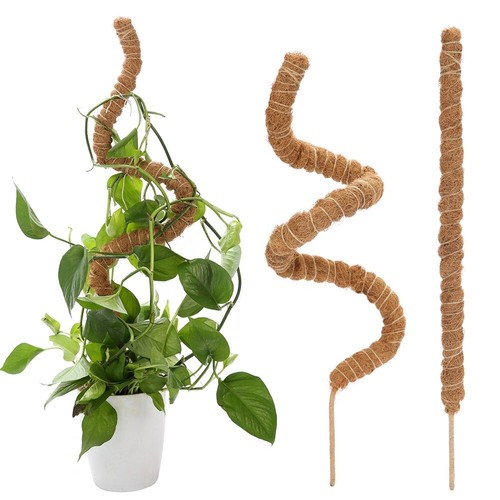 Moss poles extendable coco - poles,