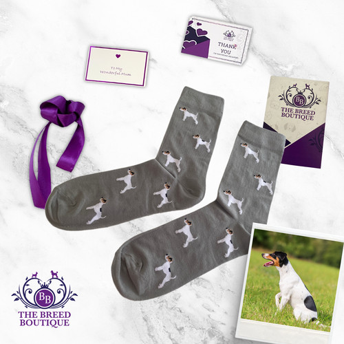 Parson russell terrier socks - russell,