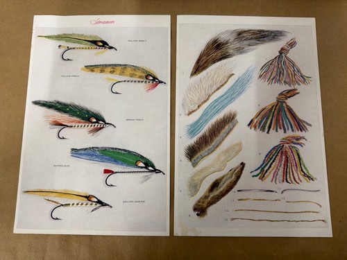 Vintage fly fishing prints - fly,