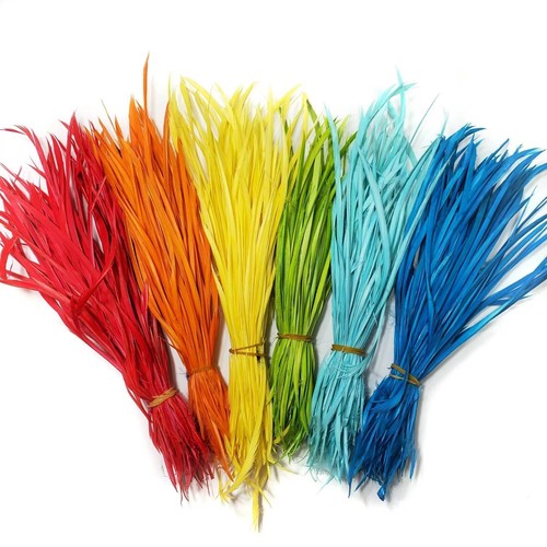 20pcs goose biot feathers - feathers, long