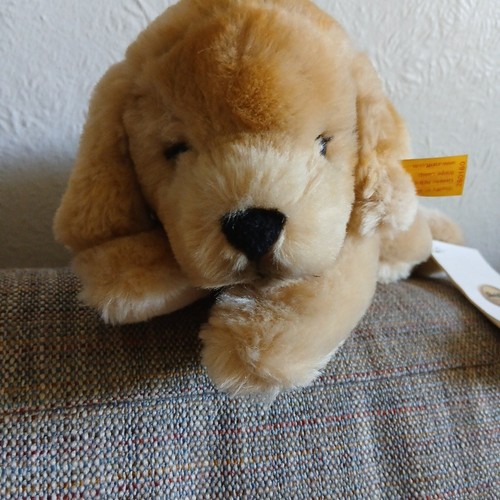 Steiff original lumpi - original, golden