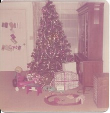 2 vintage color photos 1973