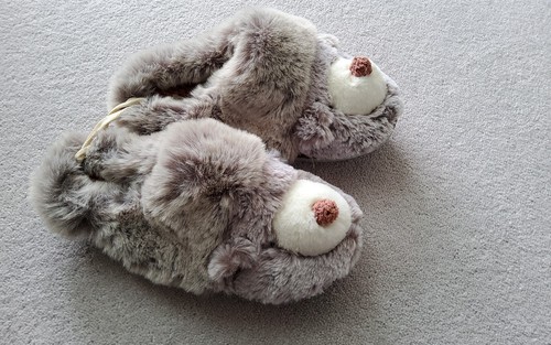 Fatface womens hope hedgehog - fatface,