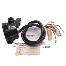 Kawasaki GTO KH100 KE125 KZ200