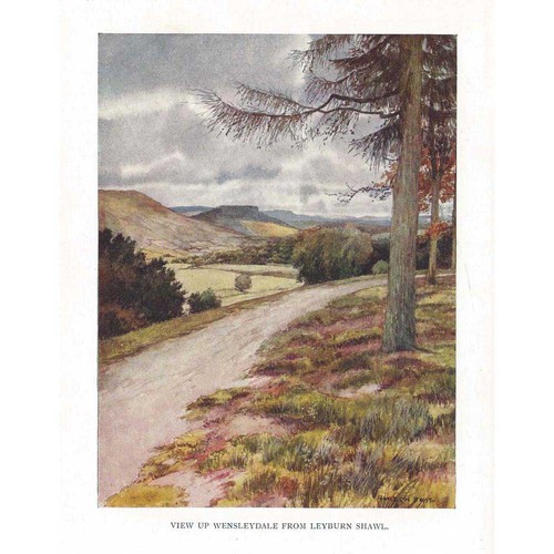 Wensleydale yorkshire view - wensleydale,