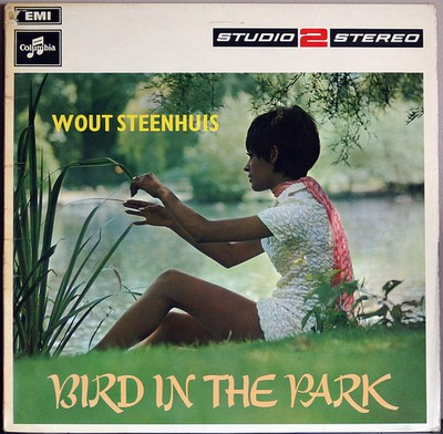 Wout steenhuis bird in the - steenhuis,