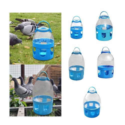 Bird cage feeder - bird,