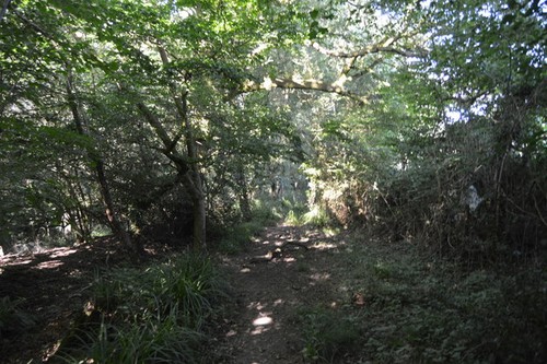 Photo 6x4 hoad lane eight - photo,