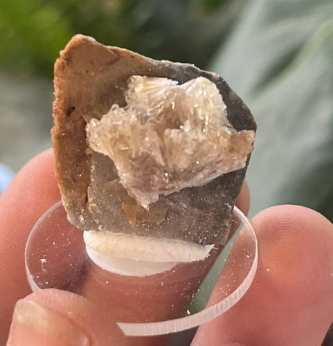 Raw selenite starburst - selenite,