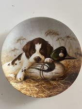 “Dog Tired—The Springer