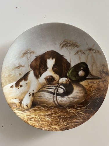 Dog tired the springer - “dog,