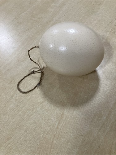 Large 16cm 12cm beige - 16cm, x