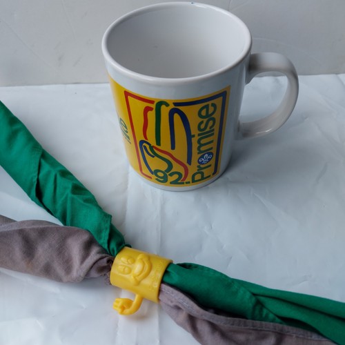 Boy scout mug promise appeal - boy,