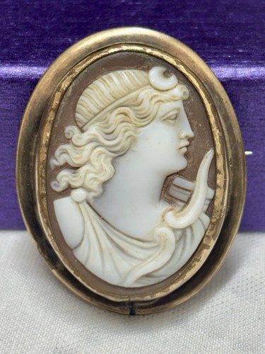 Victorian cameo brooch - victorian, pin