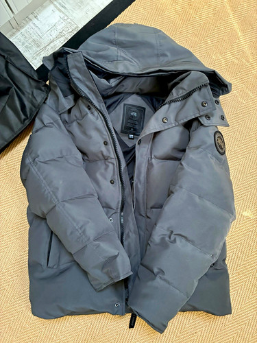 Canada goose arctic - goose, program