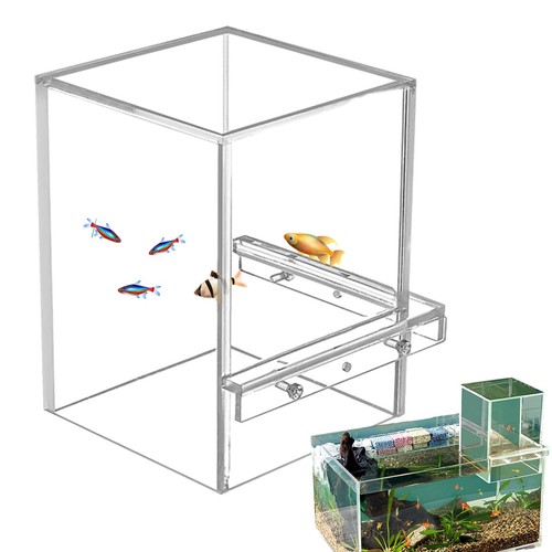 Fish aquarium tank - aquarium, small