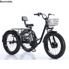 Electric trike 48v 3 - 20",