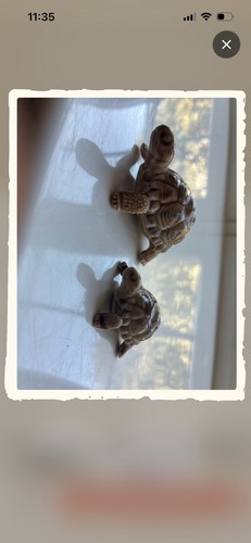 Two vintage wade porcelain - wade,