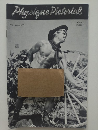 Physique pictorial volume - volume, 27