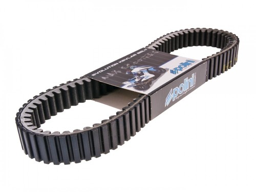 Belt polini aramid maxi - v-belt,