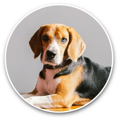 Vinyl stickers 5cm - x,