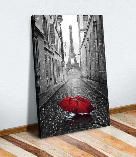 Paris umbrella canvas wall - paris,