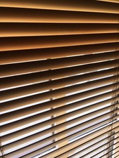 Pair of House Blinds