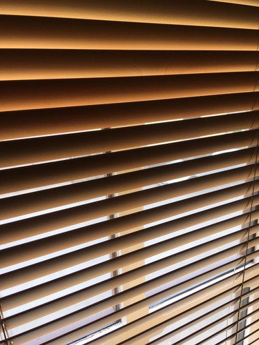 Pair house blinds - house,