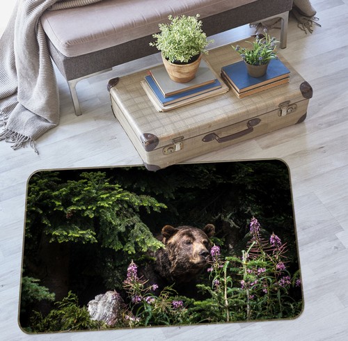 Forest bear zhub599 game - 3d,