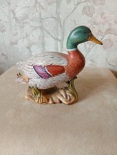 Mallard Duck Decorative