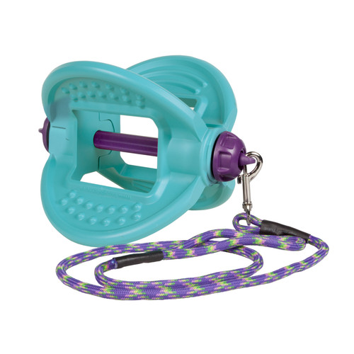 Bizzy ball horse - bizzy, wing