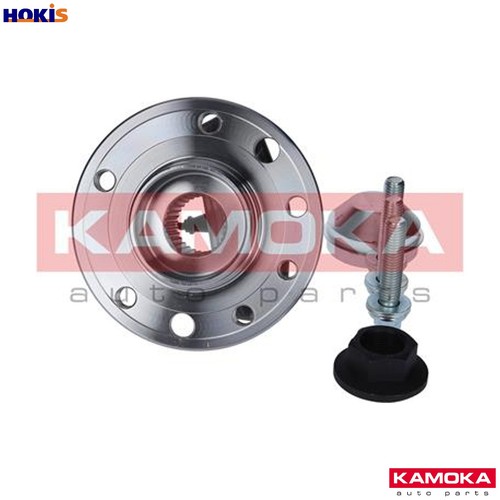 Wheel bearing kit - kit, 5500137