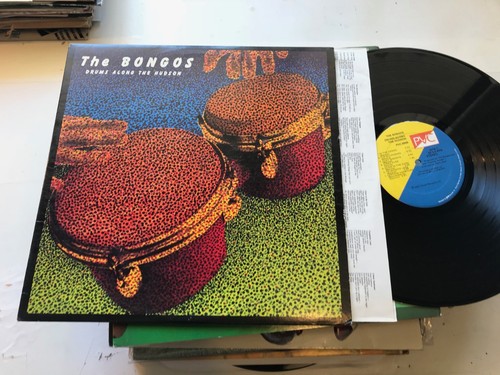 The bongos drums along - drums,