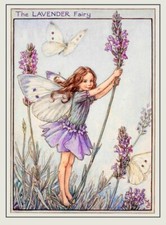 Flower Fairies Vintage Image 5