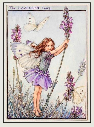 Flower fairies vintage - fairies, image