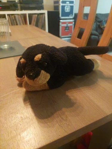 Rottweiler plush soft - rottweiler, toy