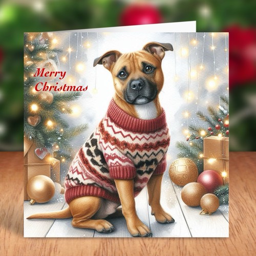 Staffordshire bull terrier dog - staffordshire,