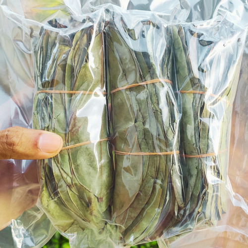 Dried soursop leaves guanabana - soursop,