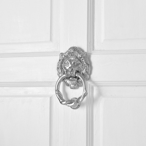 Chrome lion head - lion, door