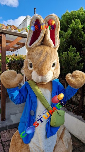 Hire peter rabbit mascot - hire,