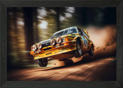 Forest rally car race - , framed