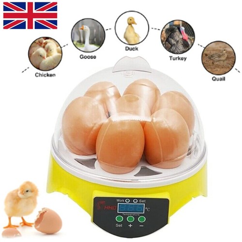 Eggs incubator automatic - 7,