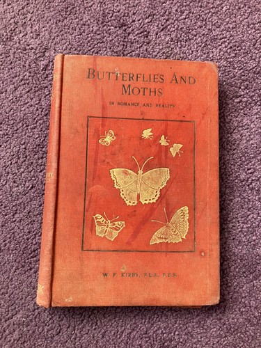 Butterflies and moths - and, wf